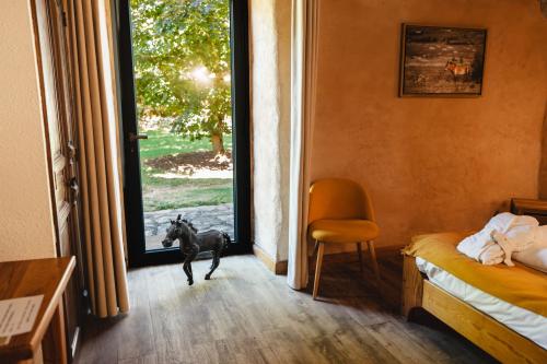 jardin-chambre-chevaux