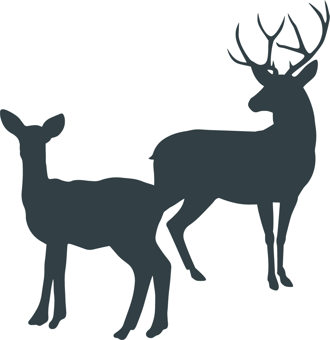 Domaine de la Vialette