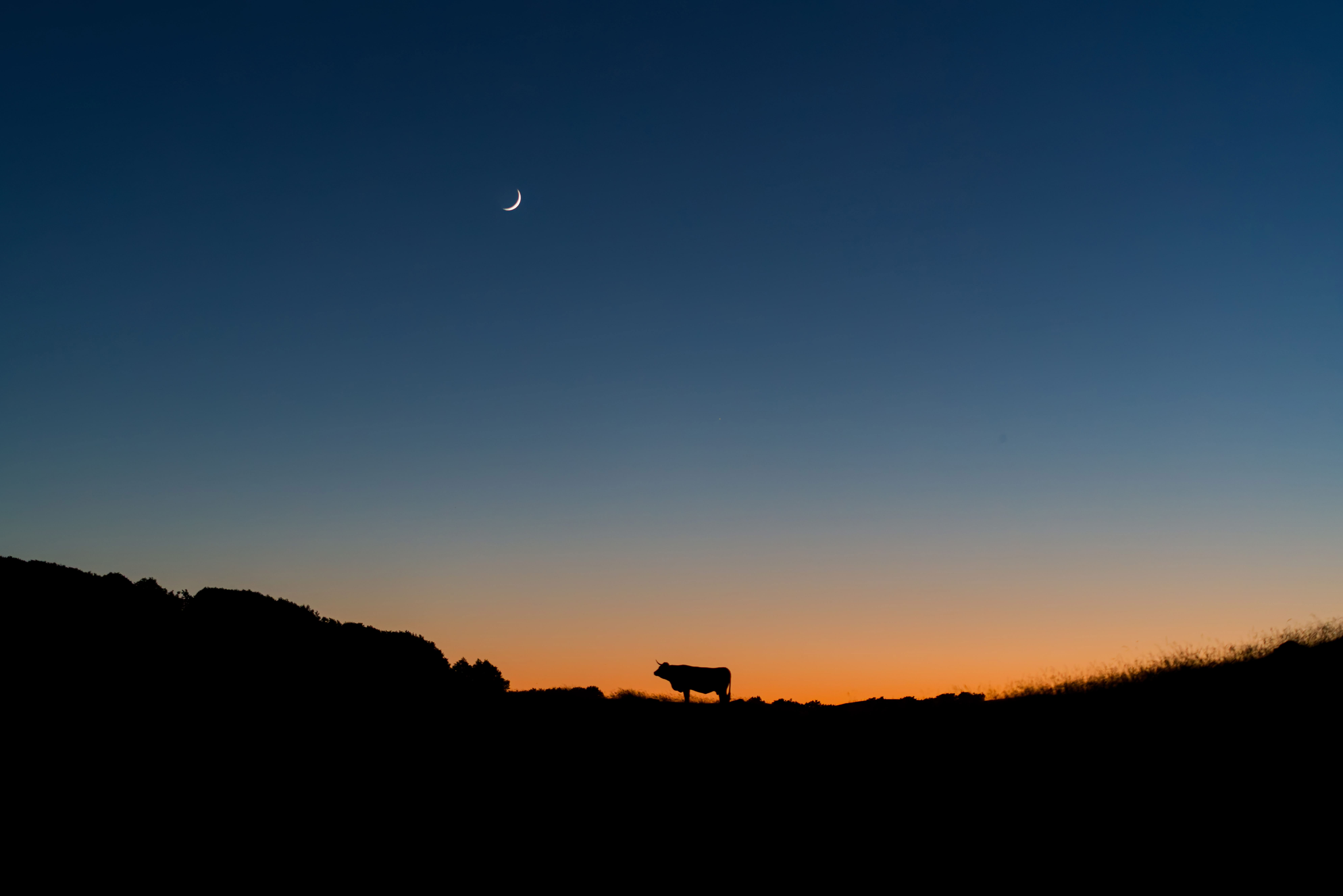 Aubrac-photographe-©-Jean-Sébastien-Caron