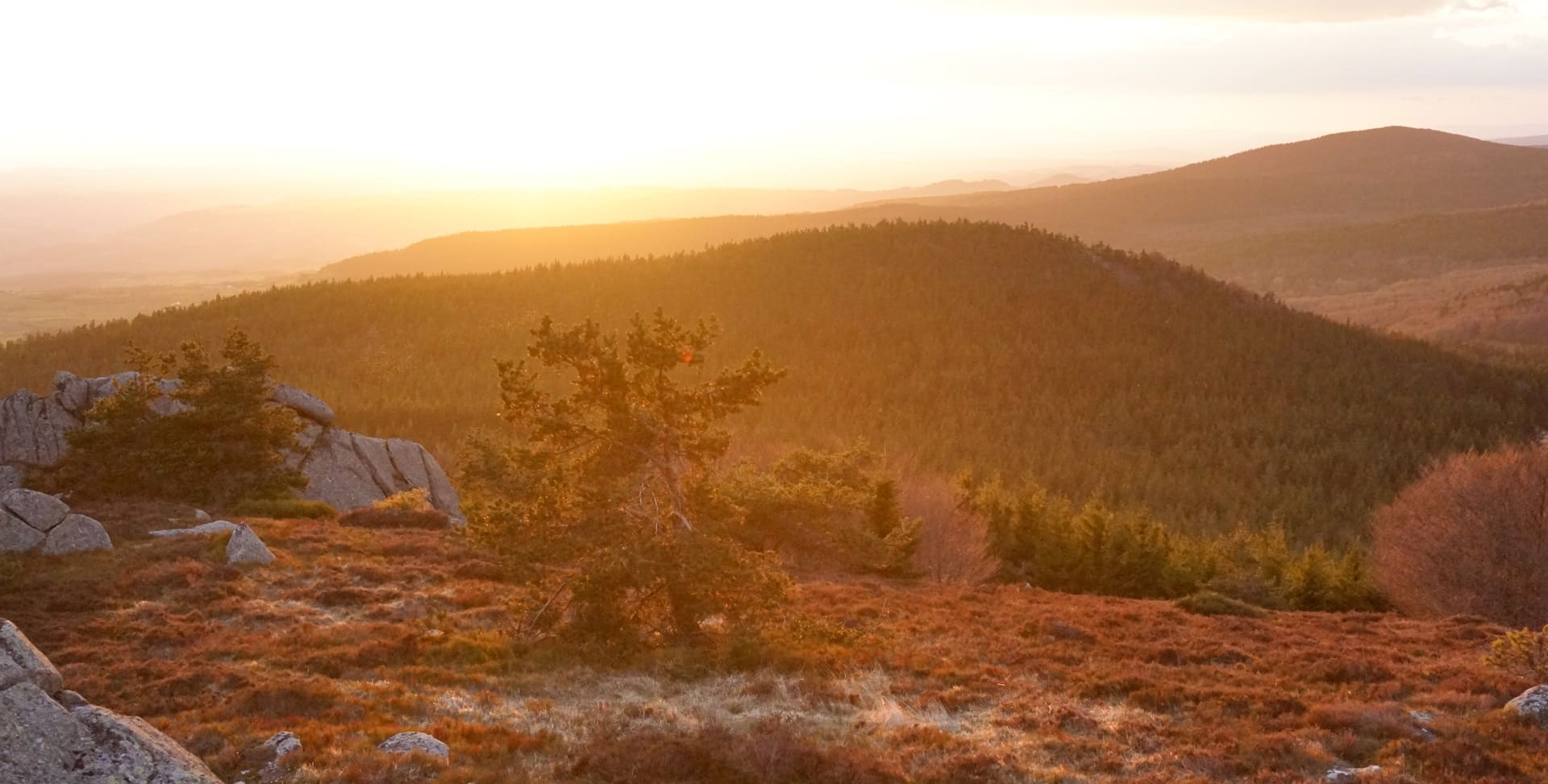 Margeride-lozere-occitanie©Jean-Sébastien-Caron