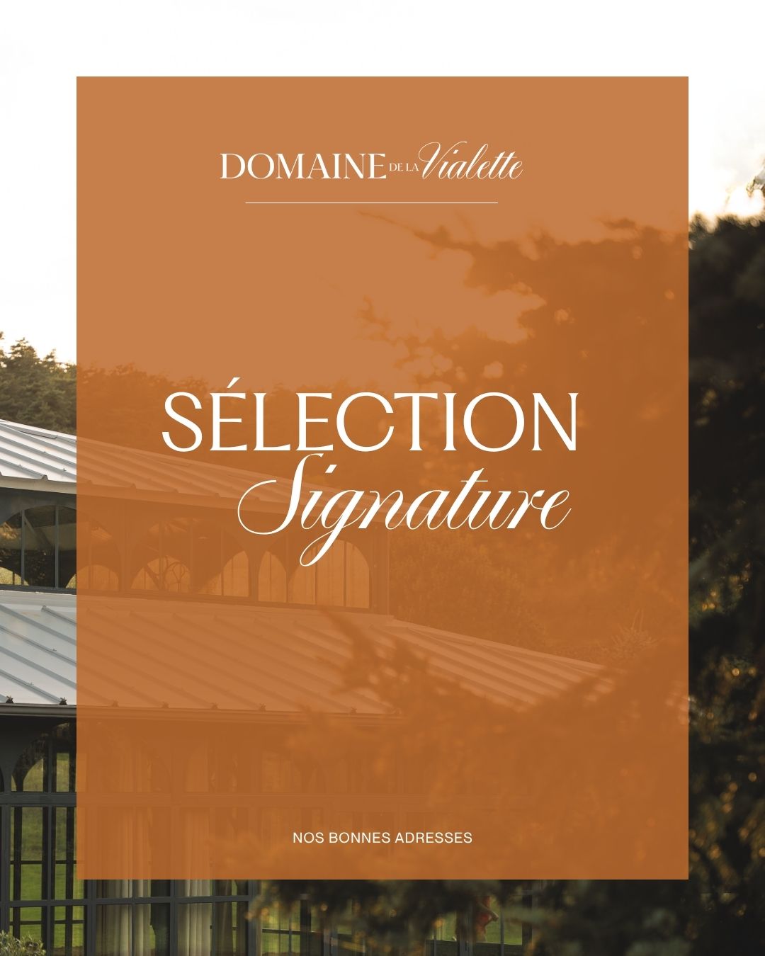 liste-signature-retraites-yoga-occitanie